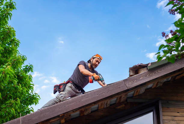 Best Roof Ventilation Installation  in Mount Vernon, MD
