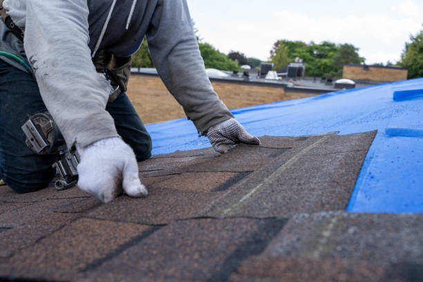 Best Flat Roofing  in Mount Vernon, MD