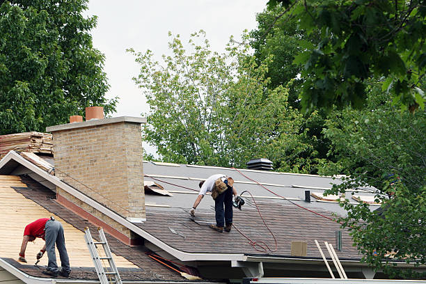 Best Roof Insulation Installation  in Mount Vernon, MD