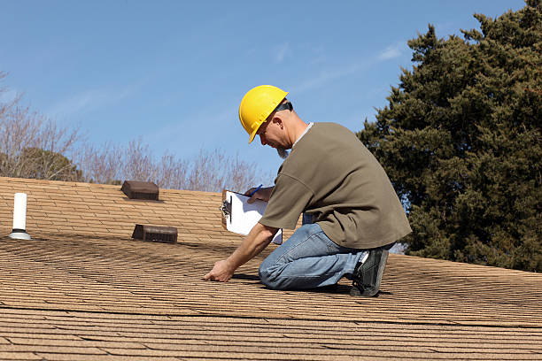Best Roof Maintenance and Cleaning  in Mount Vernon, MD